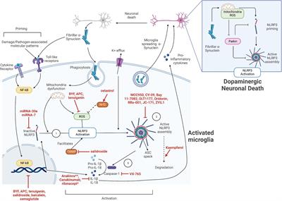 Targeting the inflammasome in Parkinson’s disease